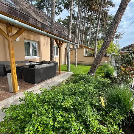 Gratisz شيوفوك